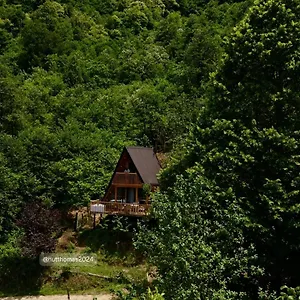 Thoma's Hut-თომას ქოხი مكان تخييم باتومي